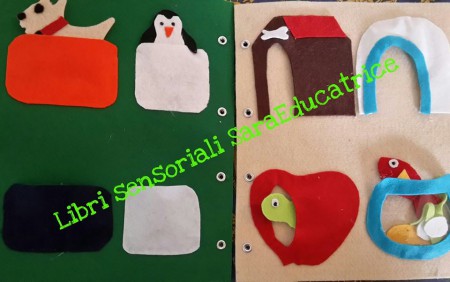 animali case da abbinare